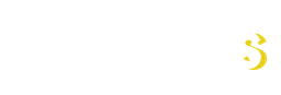Netizen Solutions Logo